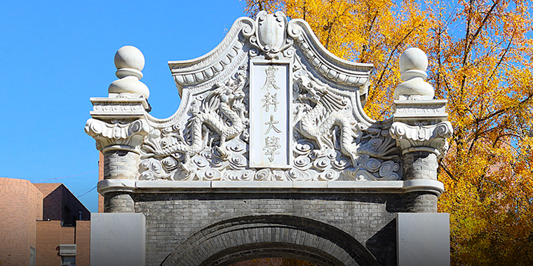 中国农业大学 AI 助手